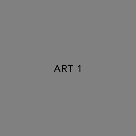 Art 1